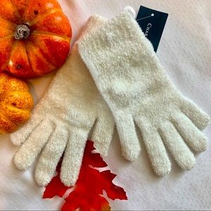 CHARTER CLUB : Solid Chenille Ivory Gloves